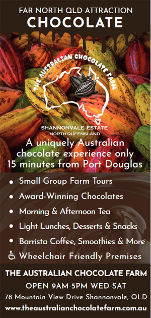 Chocolate Farm Flyer Design - Front
