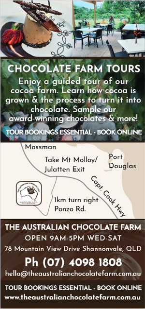 Chocolate Farm Flyer Design - Back