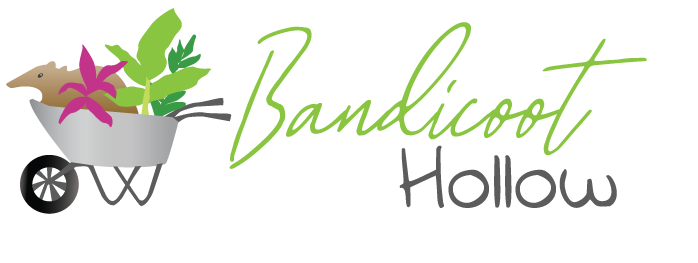 Bandicoot Hollow Logo Design