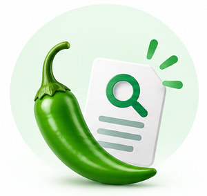 AI Visibility Audit - Digital Spice